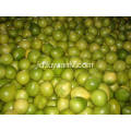 Dijual hot lezat pomelo segar